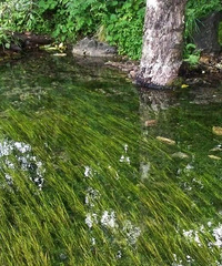 ˮ쾰ĿǰתˮɹˮۣƲ