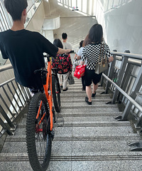 [���]���г�Ҳ������2�����𣿿��˳˳���������е��ɻ�