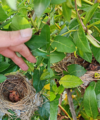 ���������﷢����һ��С�񣬿��źÿɰ�