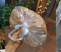 ����������èë��è����ʳ������ë׬��206Ԫ