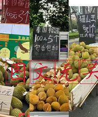 [����]��ͼ�������ƭ299��ת�˺�Է��Ͱ���������