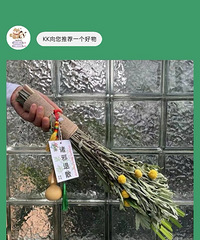 48��Ķ��簬�ݻ����������ˣ����ھ�׷��Ҫ����