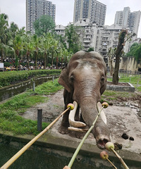 [����]����԰Ͷι����ƻ����1����Ҫ10Ԫ����Ը�⸶������