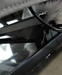 危险危险,电动沙发把猫猫的尾巴夹断了