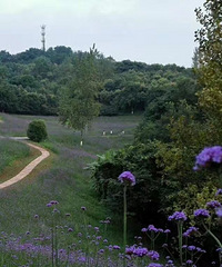 һֱЩײظϢˣǶôİ