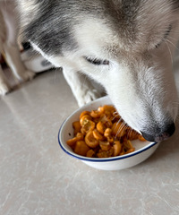 ��ɵ�ӹ����������֪���Ժ�˯����ë��ɵ������