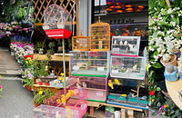 �����Ż�԰�ù仹���򼷣�����2���¼�45������