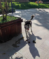 [����]�������޹�����ʺ���������ҵ��Ⱥ�ع⣬������ô��