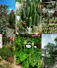 [�̵�]��������14�һ�������г� ����ȥ�����Щ����������