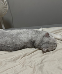 �������ˣ��ϰ�������ǻ��è�俪�յ���