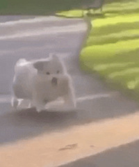 [����]�°�������Щʲô���ֵ��£�����ȥ����ζ������÷�ʽ