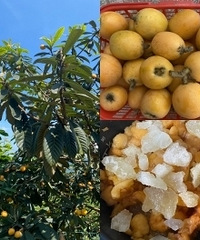 自己动手熬枇杷膏,分享一个捡懒小方法