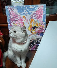 ���ǵ�èҲ��ô������һ���������˵���������