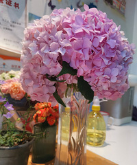 ���Ӵ�������û�����̨�����˼�ʮ�軨