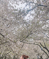 88��165CM����20���С������飬ϣ���Է����ȶ�����