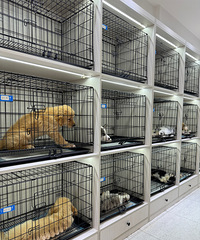 [����]���������2.8w����ͫ����è����æ�����󲻹�