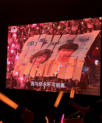 11岁入坑张学友,追了无数场演唱会
