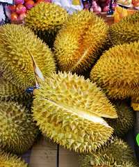 ʵ���������ɵ�һ�죬����һ������������