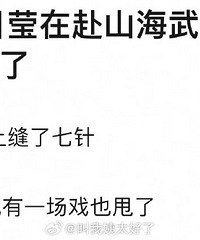 黄日莹《赴山海》武训受伤