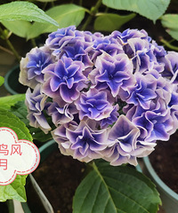 20�����û����������Ʒ�֣�ȫ��������