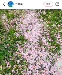 ע�����������ȥͽ�������ҧ�� �о��ÿֲ���