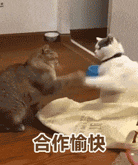 ������ֵ���򡿰�������������29�������ζ6����21.9