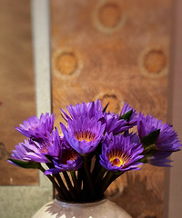 ˮ����3֧ȫ�����ֲݵ��вƷ��棬��˯����һ��