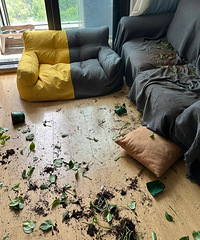 ��Ѫ�ܣ�����Һ���ƤЦ���ģ�����Ҫ��