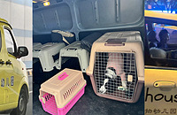 ����Ҳ���׶�԰�ˣ�168/������ͣ�����������