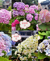 22������Ʒ��ȫ���ˣ���������ʶ��Щ