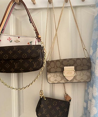 [����]���Ҫ�������ݰ�������LV��ôһ�Աȣ�ޢ�ۺó������