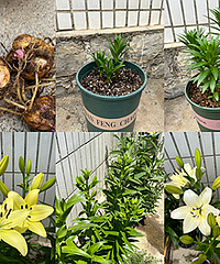 ��ʱ70���죬�ٺϿ�����