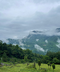 南川金佛山漆树堂徒步,路野景美天气给力