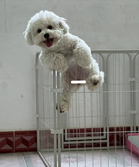 �����ܵĽ����ǣ����ǵ�С��Ҳ��Խ����