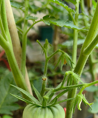 ¶̨���ѹҹ�����������ҵķ��Ѷ�����һ��