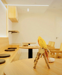 ������ô���������Ķ����Լ����ж�����