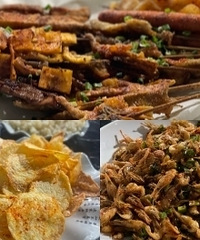 �������������տ���ȷʵ����