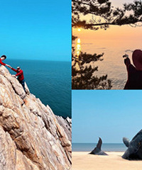 ����ĸ�������Ĵ󺣣�������̨ȫ��¼