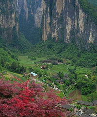 打卡奉节隐世的小山村