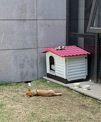 [�̵�]���쾰���С���������Сè���Ż�ɽ�������������Щ