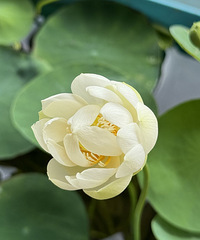 ���������ˣ����������Ҳ������