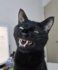 ��è�����ݶ�����������˵���ˡ��¹�����