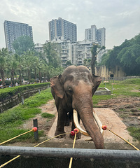 [��ˣ]���޹䶯��԰�����곤��¹����ιʳ�ˣ���û�����ж�