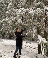 36170CMԼ˾ĸ飬ϣԷТ˳