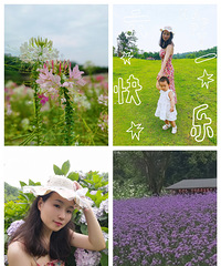 [����]��������޲����պó�Ƭ�����˿���������¶Ӫ������