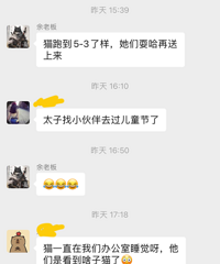 [����]èԽ�����ӣ�ץè�绰�������ˣ������濴Ư��С���