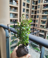 6Ԫ��������¼���ݼ����յ����Ϳ�����