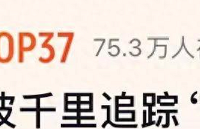 女老板千里追踪羊毛党