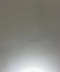 ¥��װ�ް��Ҽҿ�����©ˮ�ˣ�˦������ҵ��ô�죿