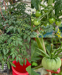 ���ѹҹ�������ҵķ��Ѷ�����һ����